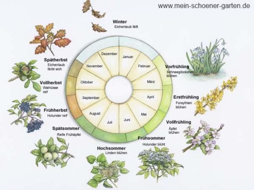 Wann beginnt der Frühling? - Natur & Mensch