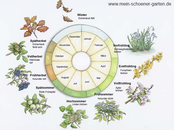 Wann beginnt der Frühling?