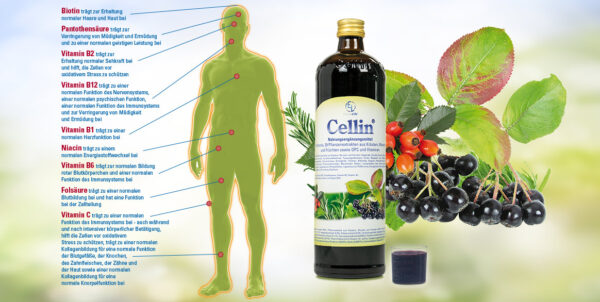 Cellin - Die Vitaminbombe – Bild 5